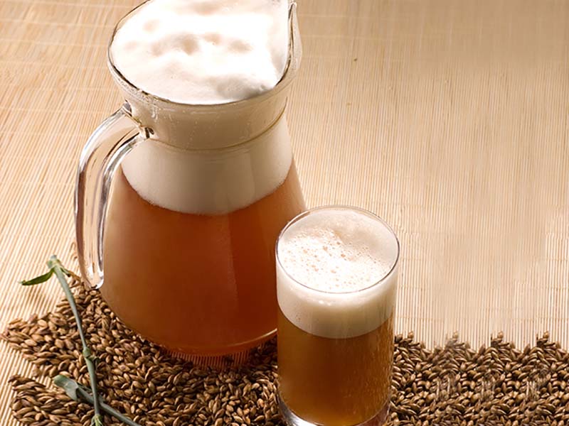 山东隆邦机械啤酒设备酿造——红枣鲜啤